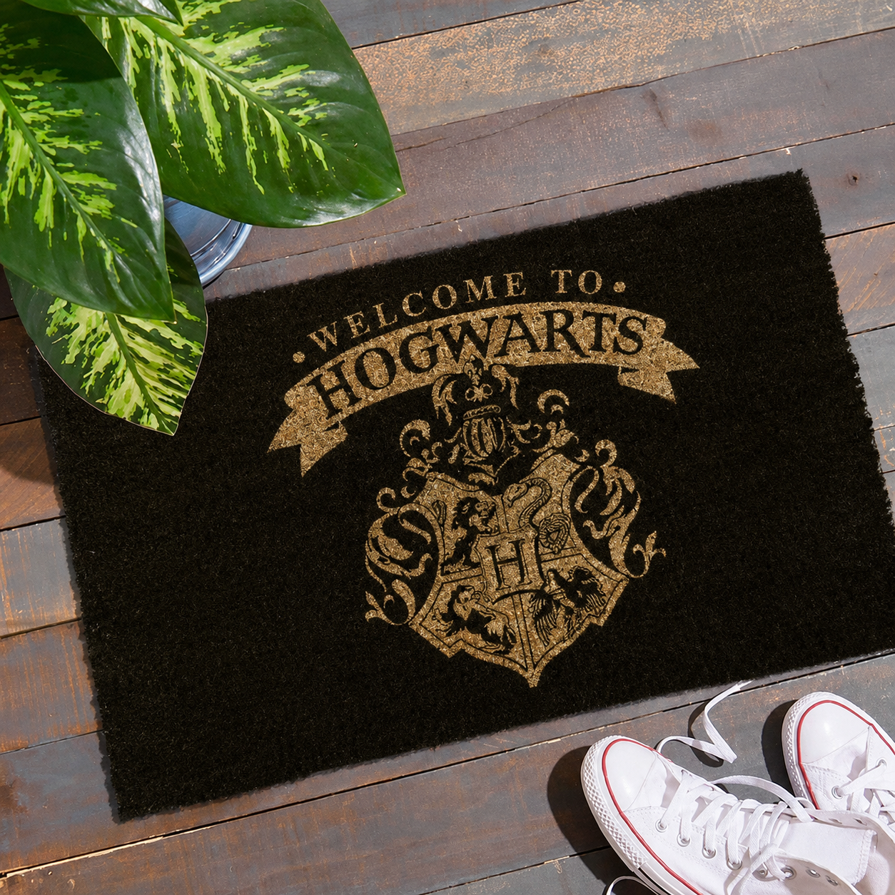 Harry Potter - Tapete Hogwarts