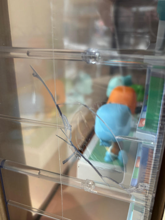 Pokémon - POP! Moment Deluxe Bulbasaur / Charmander / Squirtle *Caixa Danificada*