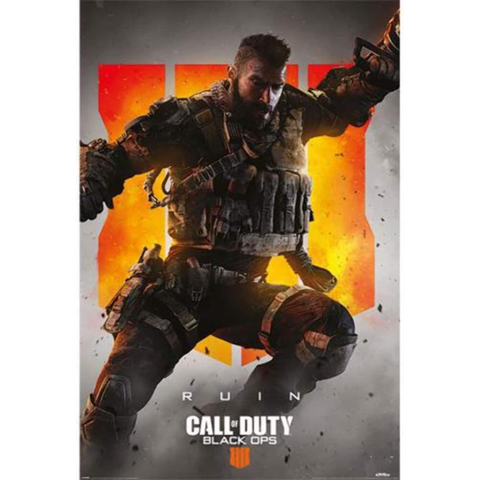 Call of Duty - Poster Ruin
