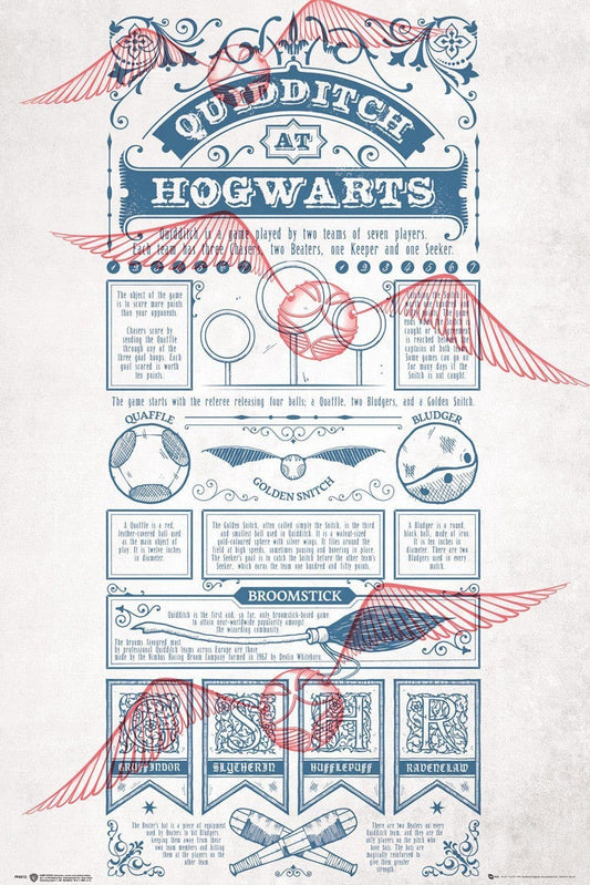 Harry Potter - Poster Quidditch at Hogwarts Popstore 