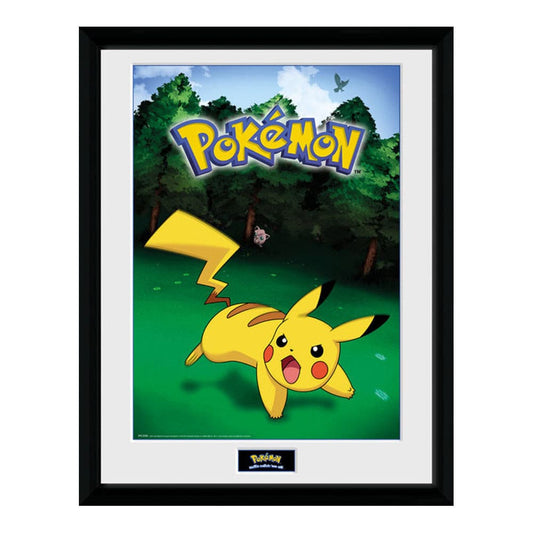 Pokémon - Quadro Pikachu Catch.