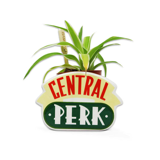 Friends - Vaso para Plantas Central Perk
