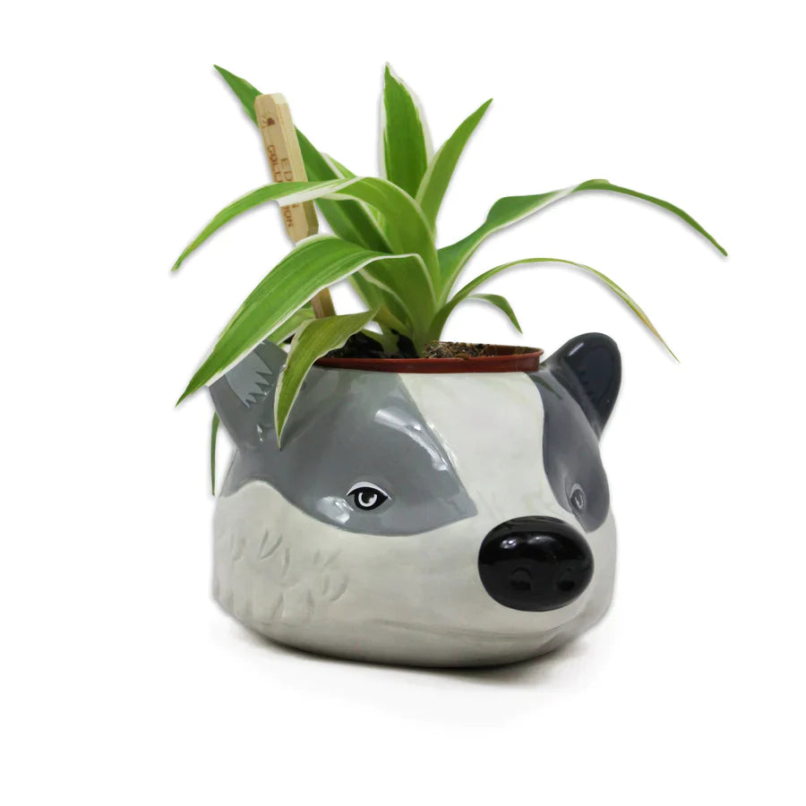 Harry Potter - Vaso para Plantas Hufflepuff