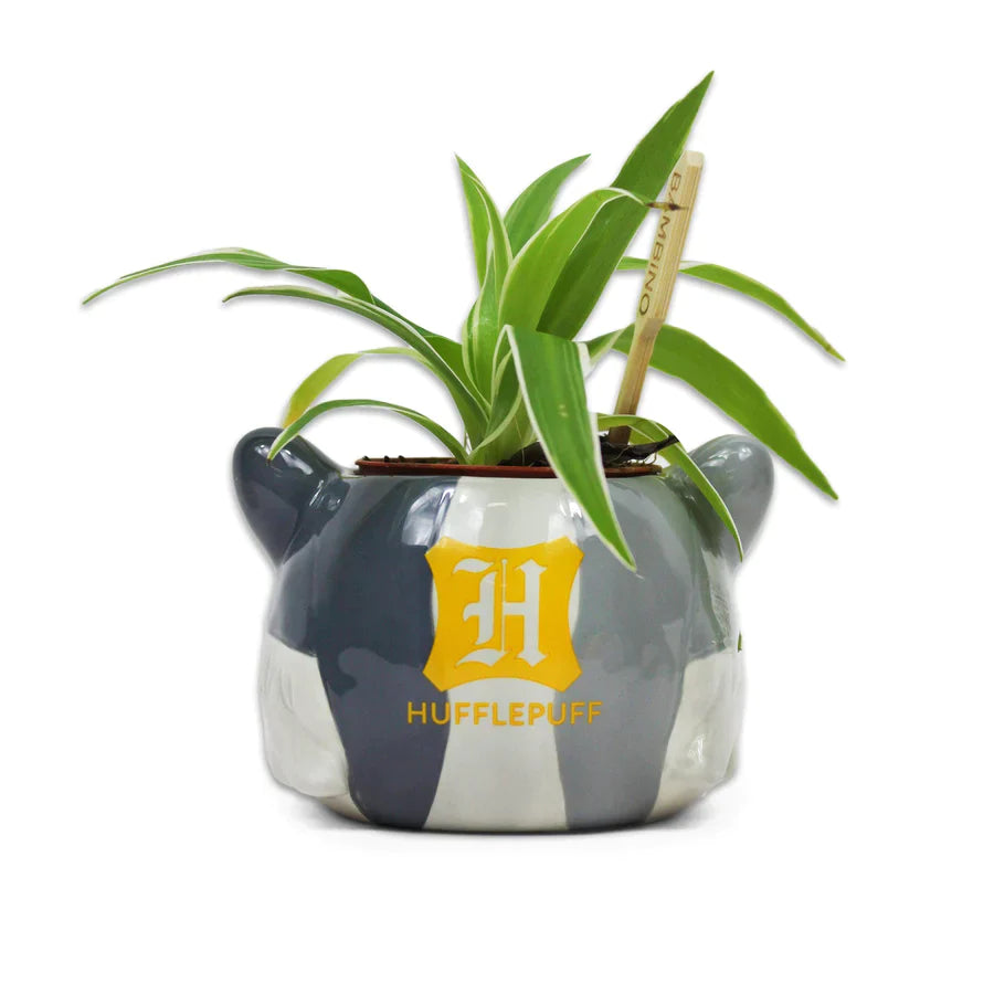 Harry Potter - Vaso para Plantas Hufflepuff