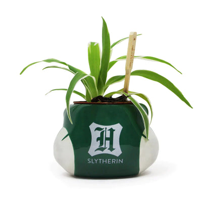 Harry Potter - Vaso para Plantas Slytherin
