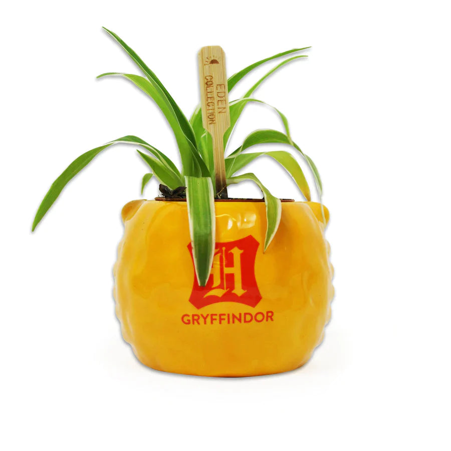 Harry Potter - Vaso para Plantas Gryffindor