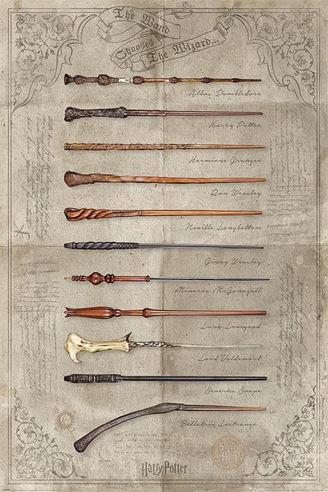Harry Potter - Poster The Wand Chooses The Wizard Popstore 