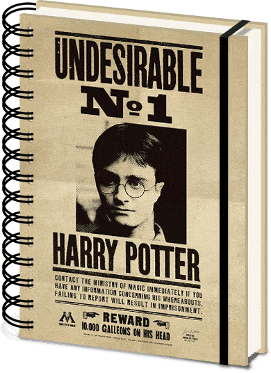 Harry Potter - Notebook 3D Sirius & Harry Popstore 