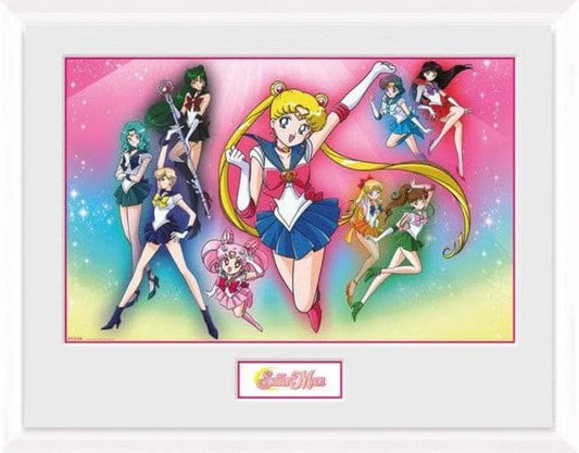 Sailor Moon - Quadro Burst.
