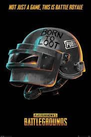 PUBG - Poster Born to Loot Popstore 